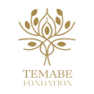 temabefondation.org